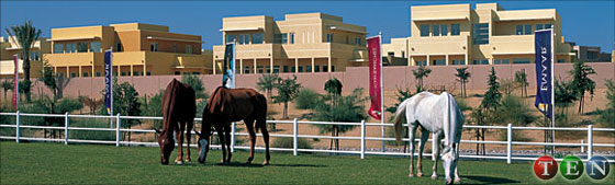   -Arabian Ranches- 